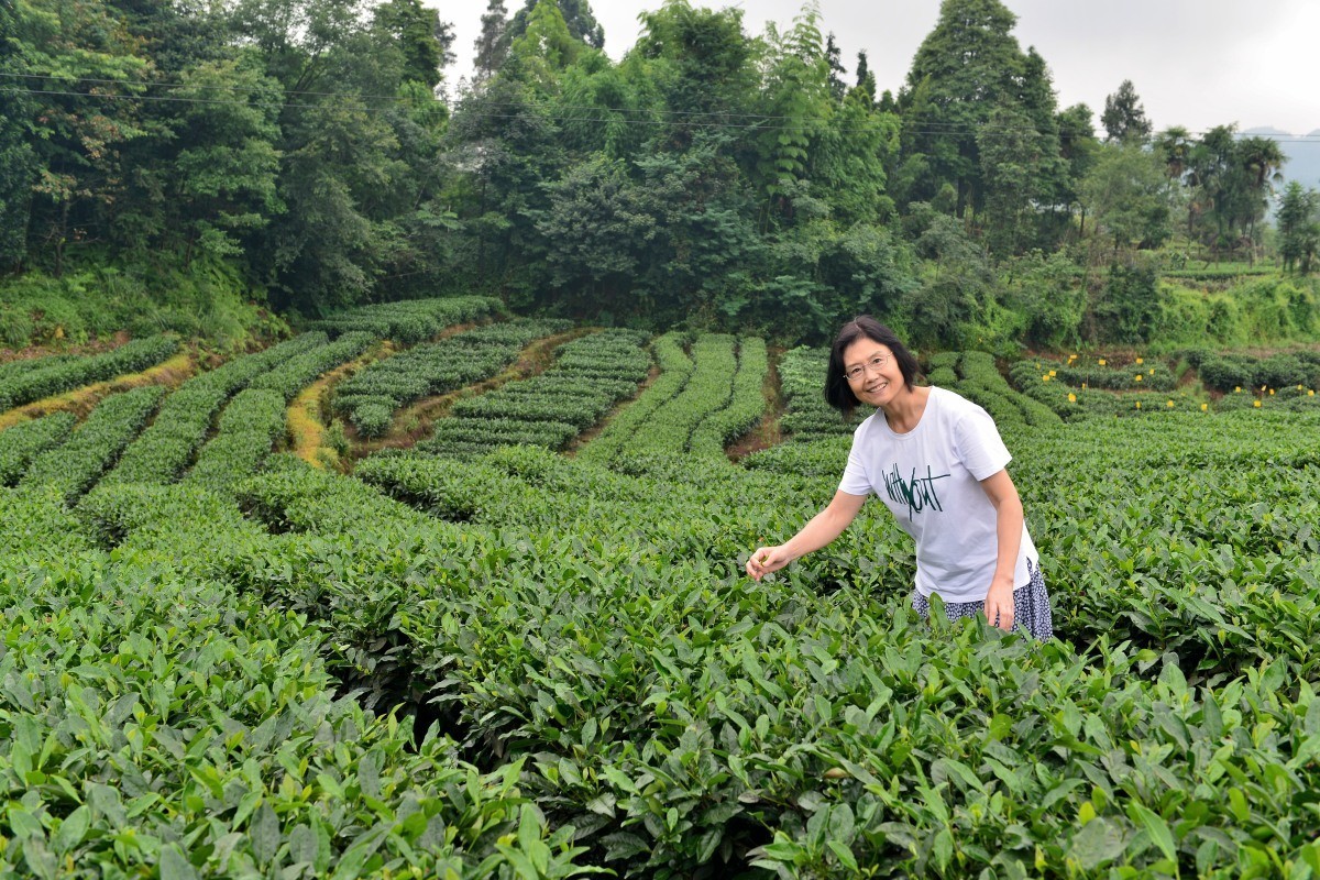 雅安名山.红草坪景区(2)