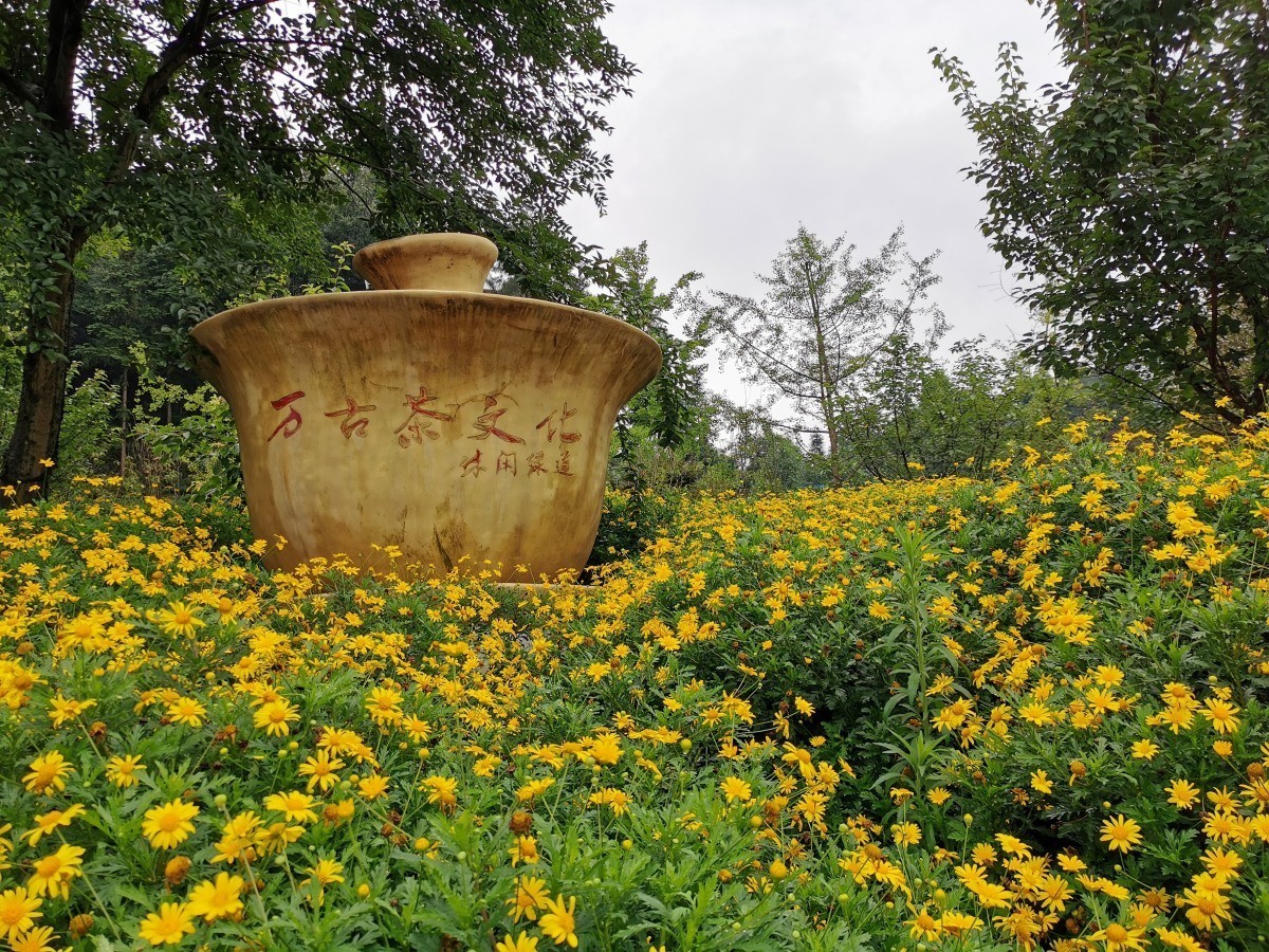雅安名山.红草坪景区(2)