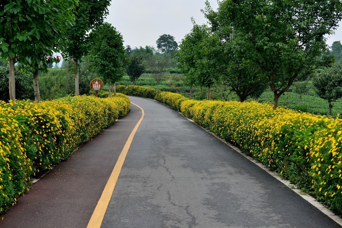 雅安名山.红草坪景区(2)