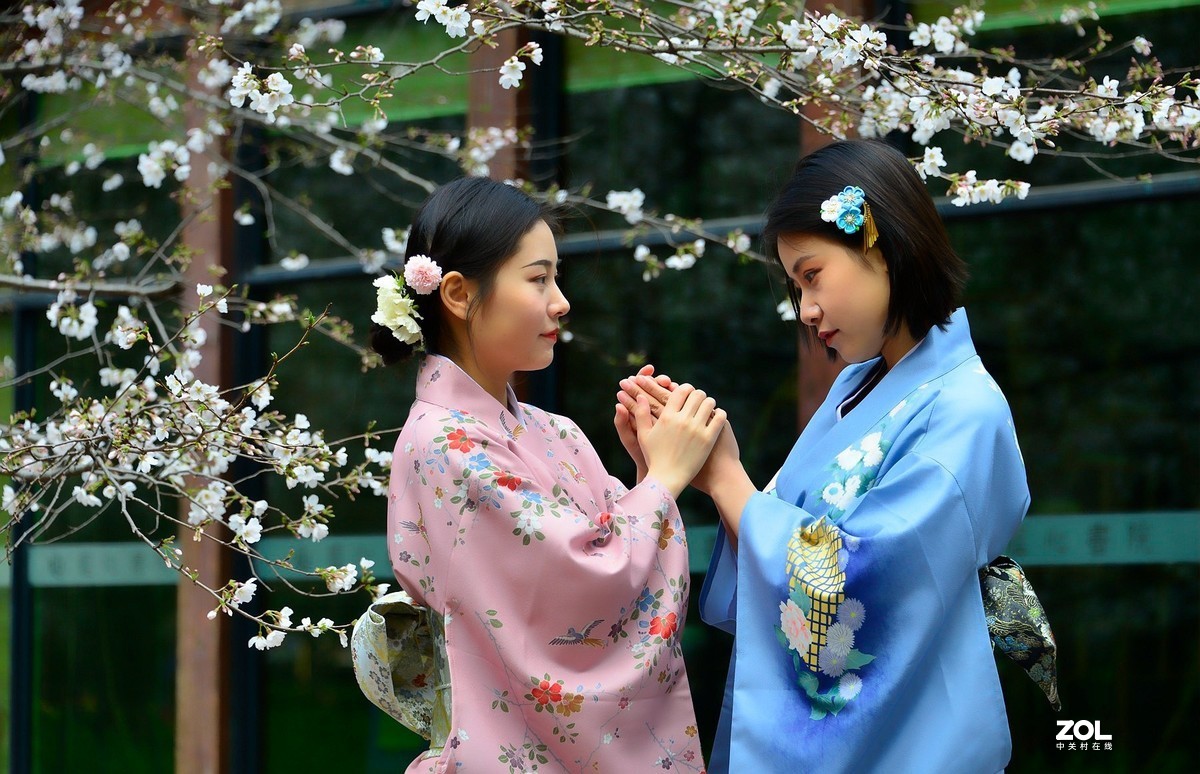 樱花树下叙友情