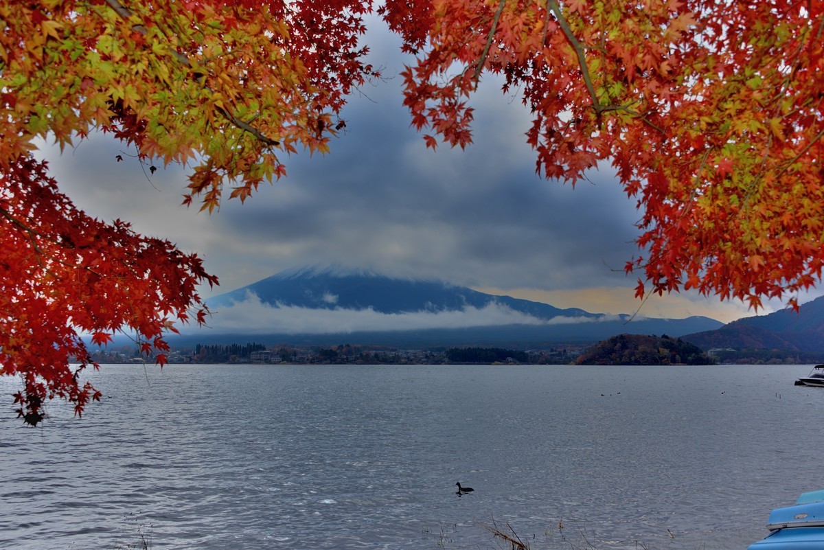 日本关西红叶狩河口湖4