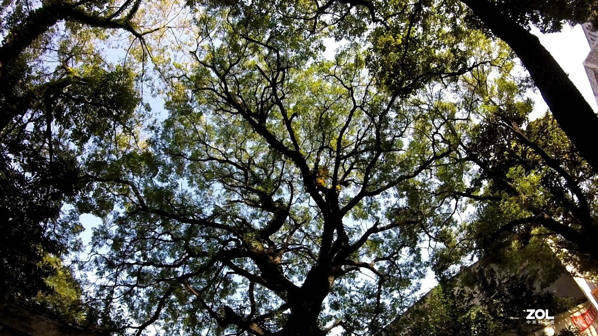 这个入门级真是只是玩玩儿