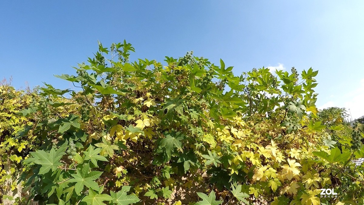 这个入门级真是只是玩玩儿