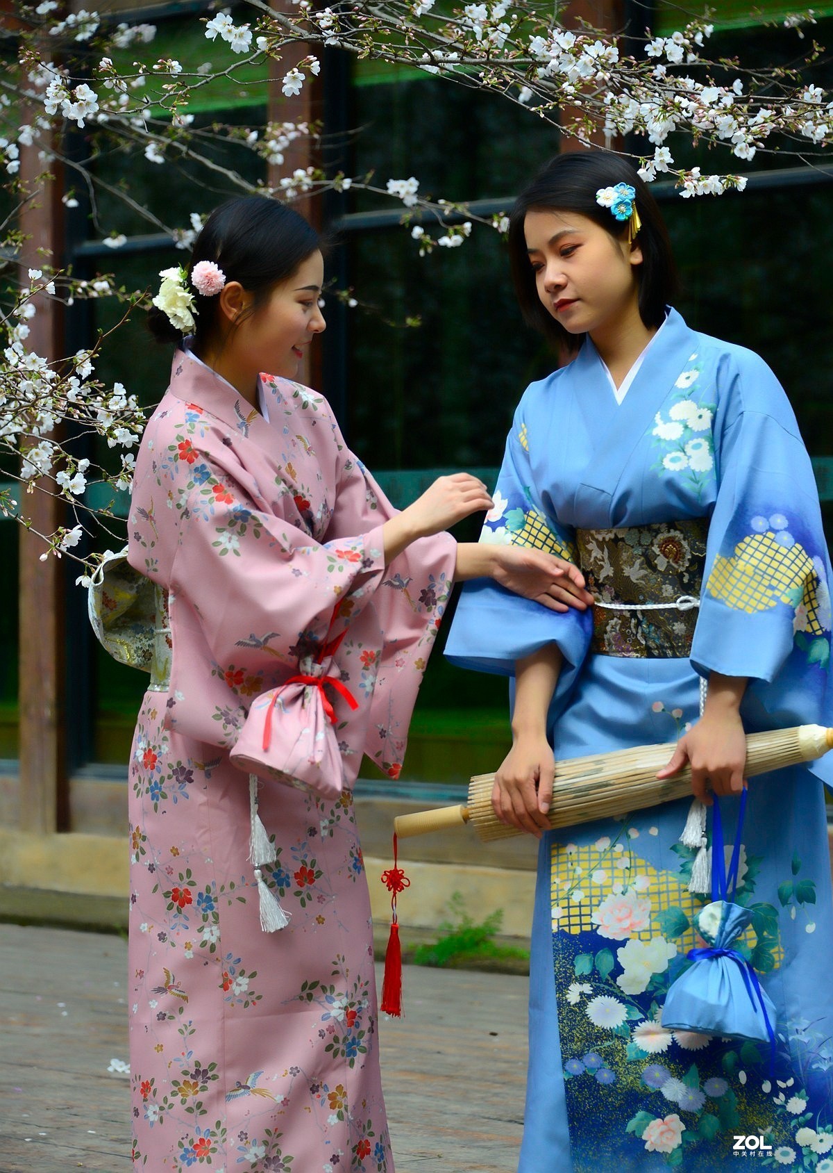 樱花树下叙友情