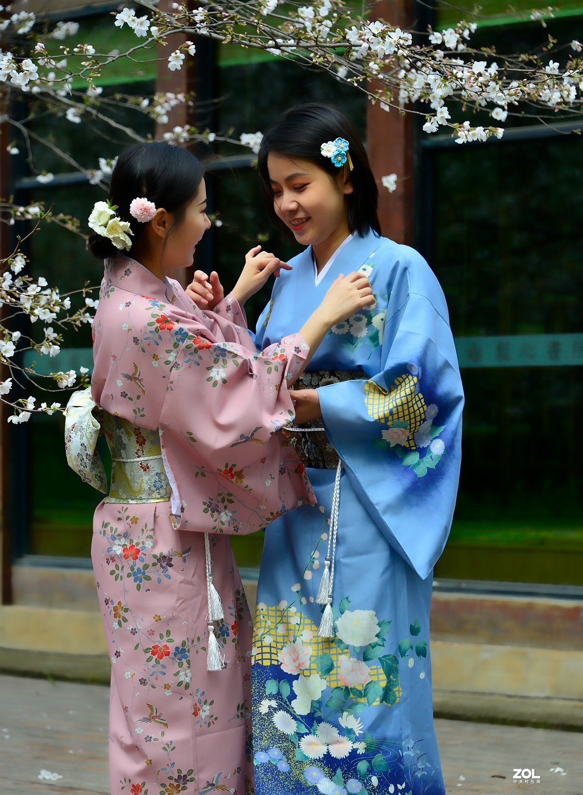 樱花树下叙友情