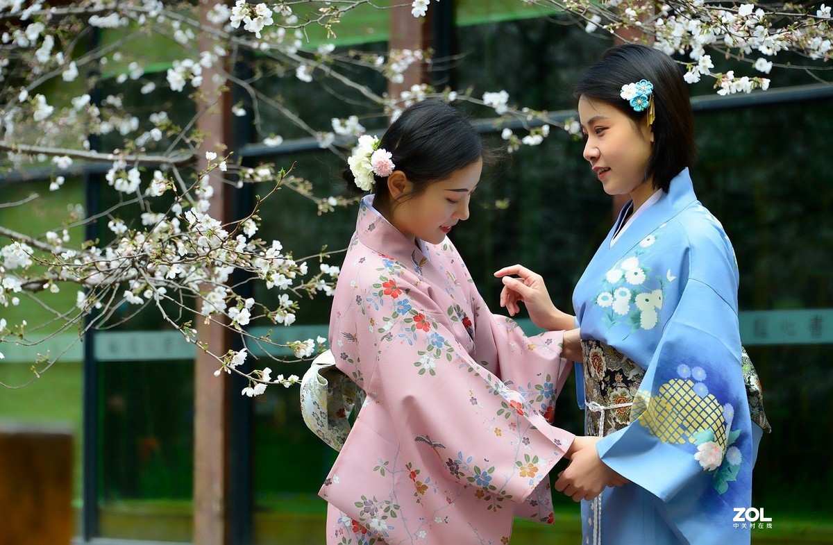 樱花树下叙友情