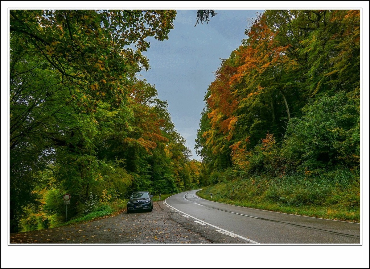 山山披冷雨,  草草带秋寒!