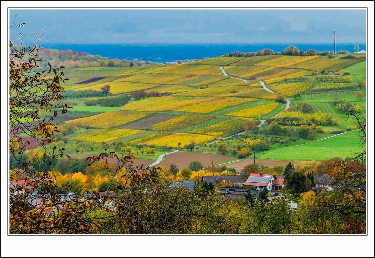 山山披冷雨,  草草带秋寒!