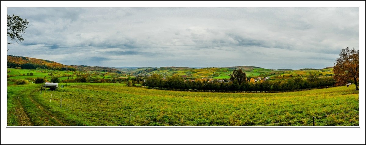 山山披冷雨,  草草带秋寒!