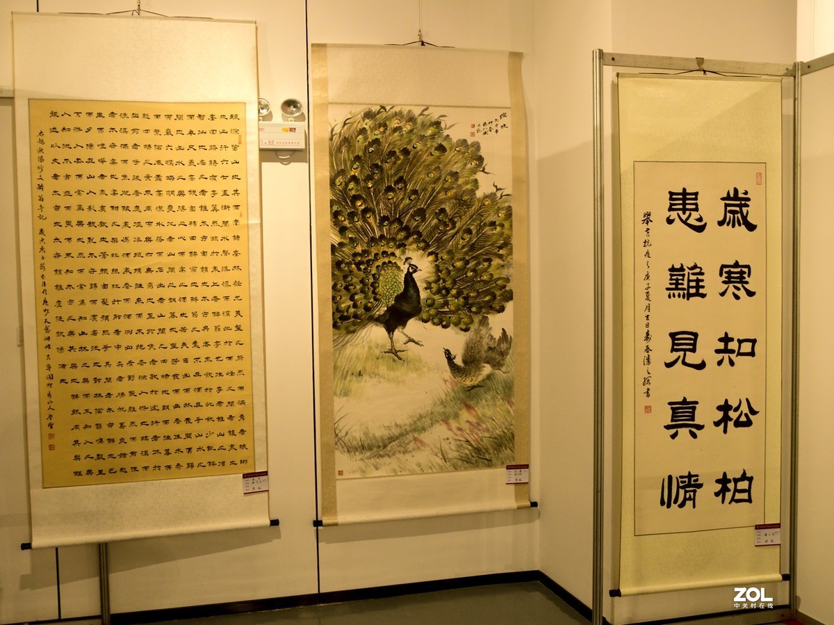 庐州漫记（320）携雨天书画展拜访狂风有痕版主、 伊犁河_d89版主和各位师友双节快乐！