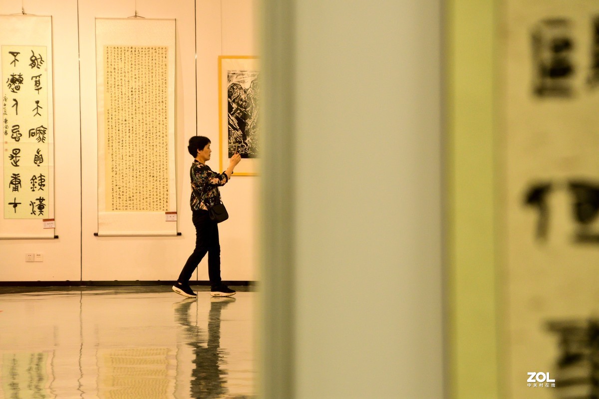 庐州漫记（320）携雨天书画展拜访狂风有痕版主、 伊犁河_d89版主和各位师友双节快乐！