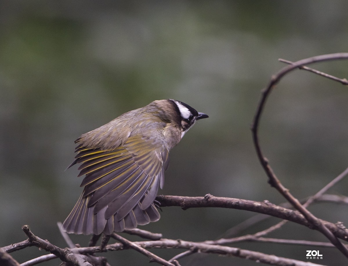 新机新镜入手后试机