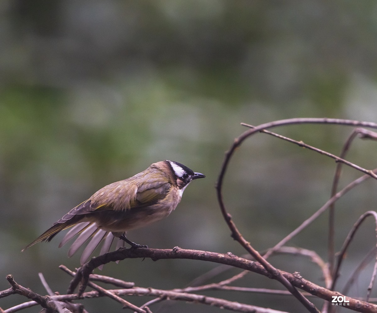 新机新镜入手后试机