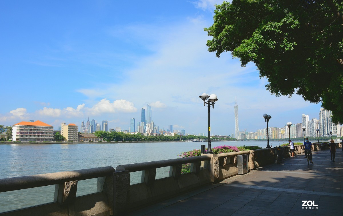 滨江东。