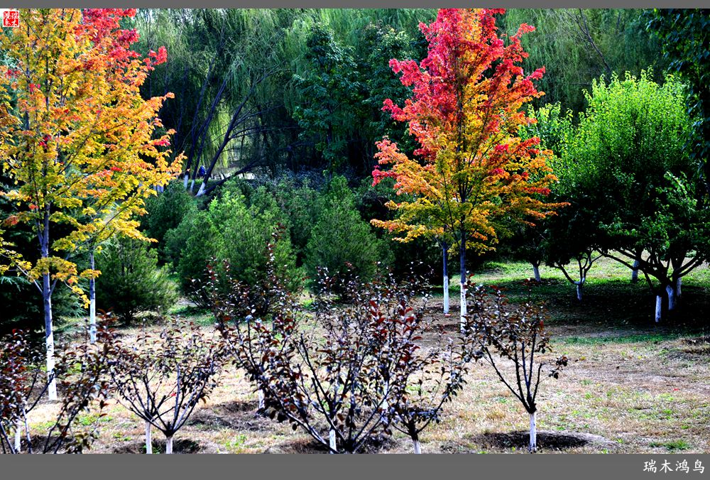 【追寻醉美秋色】64.傍水临风景色美，天光云影共徘徊