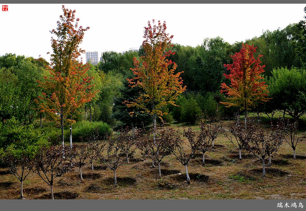 【追寻醉美秋色】64.傍水临风景色美，天光云影共徘徊