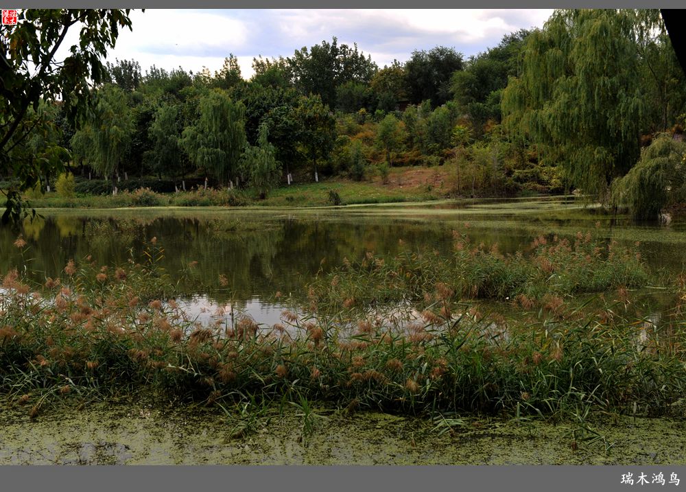 【追寻醉美秋色】64.傍水临风景色美，天光云影共徘徊