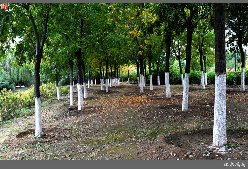 【追寻醉美秋色】64.傍水临风景色美，天光云影共徘徊