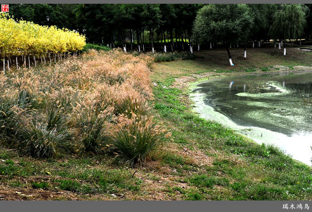 【追寻醉美秋色】64.傍水临风景色美，天光云影共徘徊