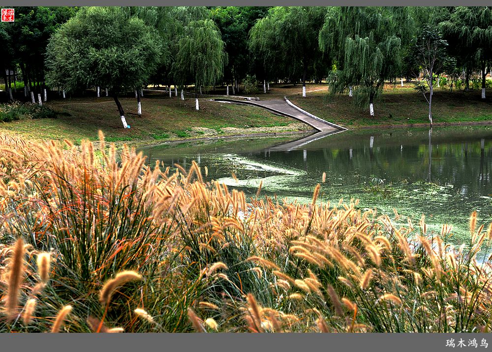 【追寻醉美秋色】64.傍水临风景色美，天光云影共徘徊