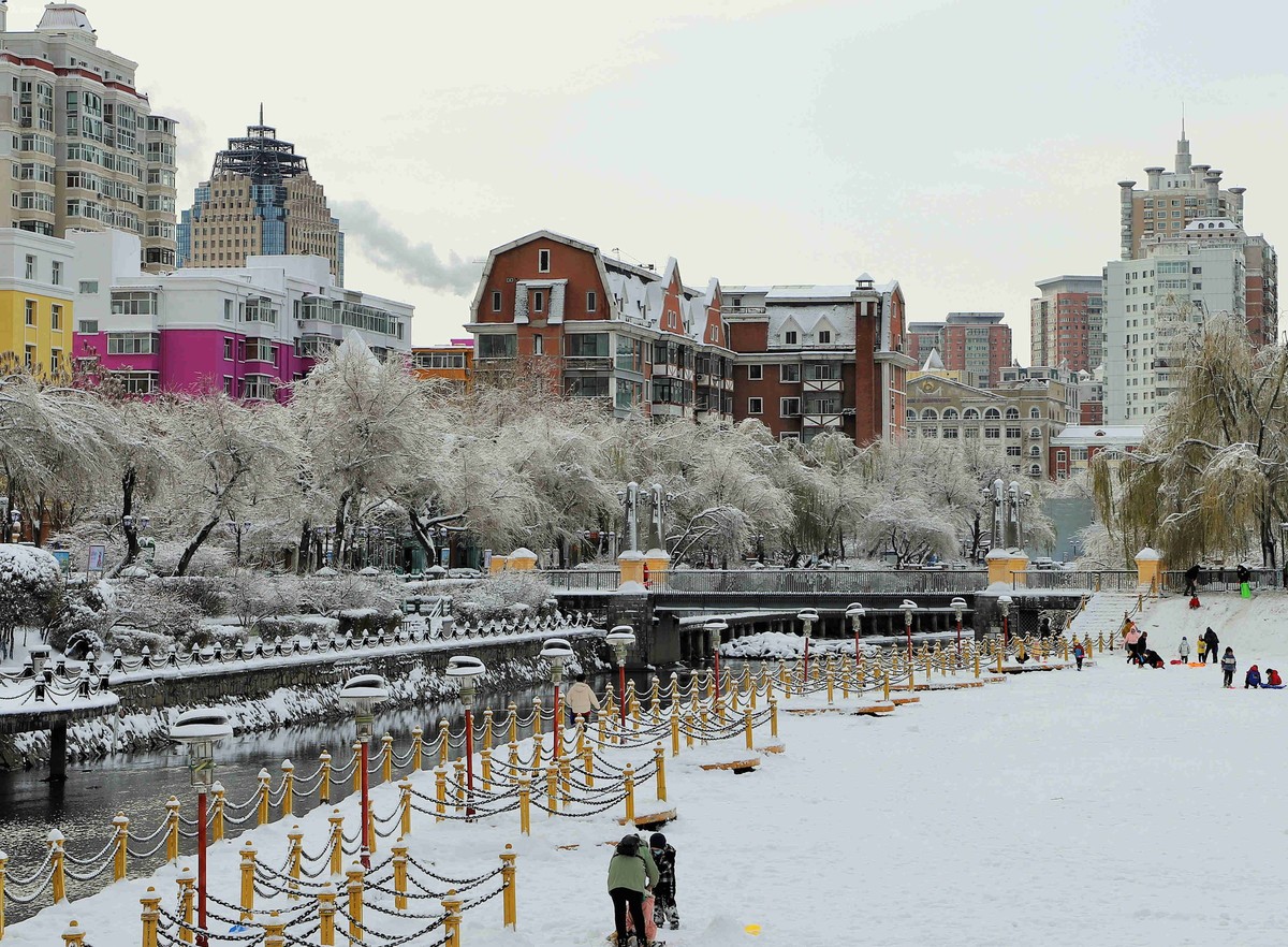 河畔公园雪景2021.11.11