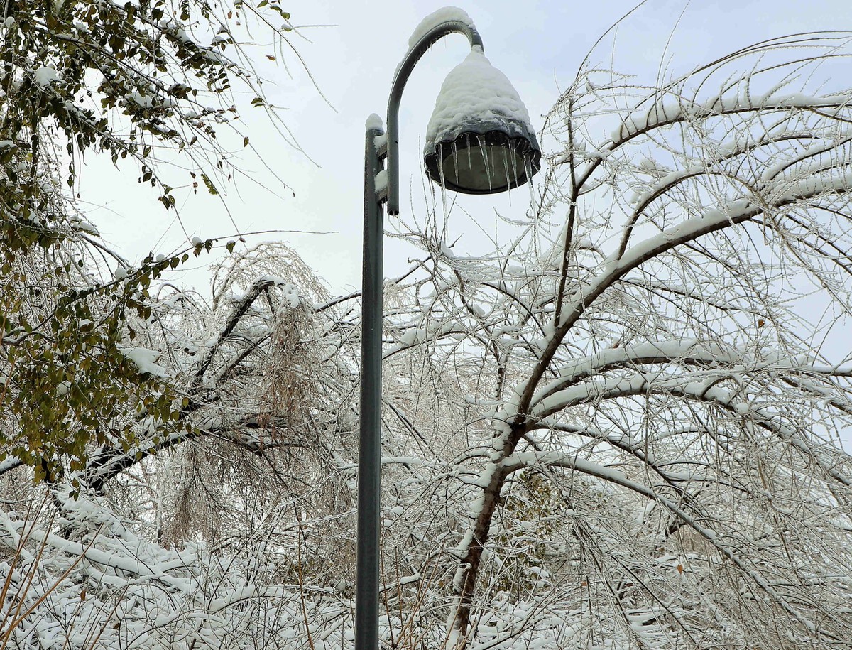 河畔公园雪景2021.11.11
