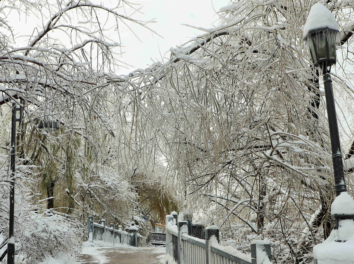 河畔公园雪景2021.11.11
