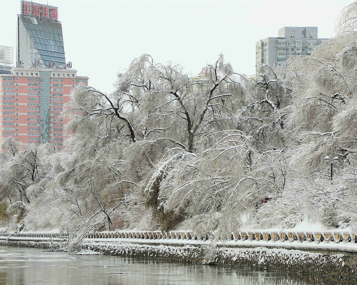 河畔公园雪景2021.11.11