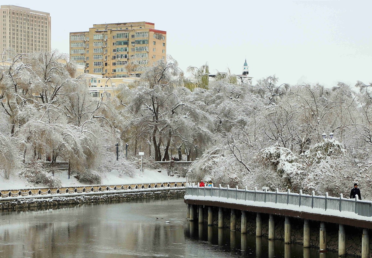 河畔公园雪景2021.11.11