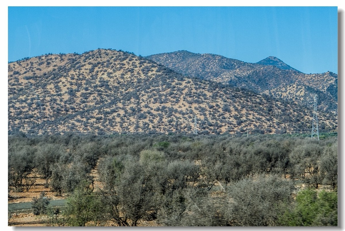 北非行之--在路上（摩洛哥）