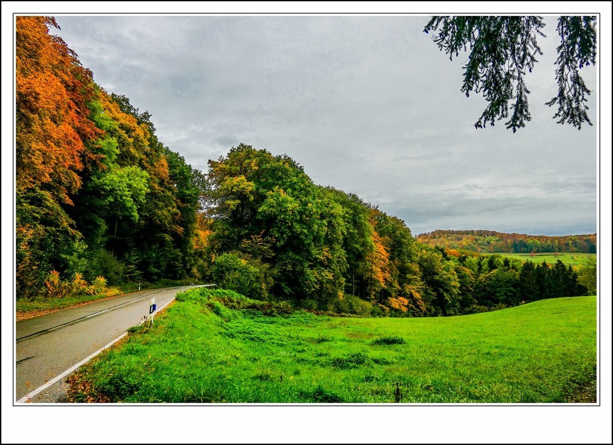 山山披冷雨,  草草带秋寒!
