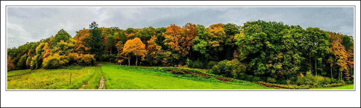 山山披冷雨,  草草带秋寒!