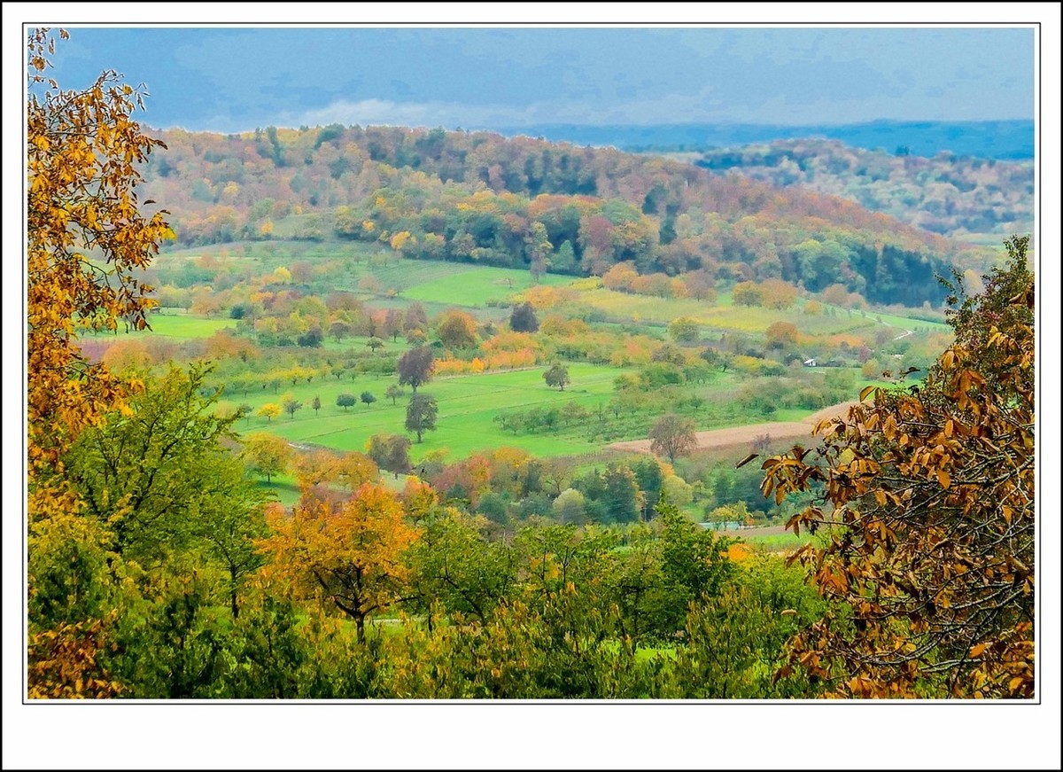 山山披冷雨,  草草带秋寒!