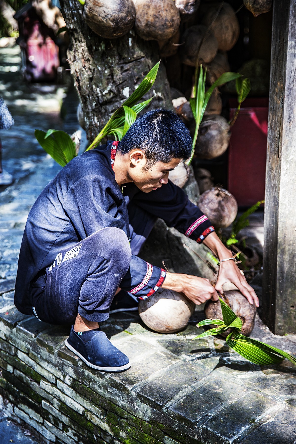 旅游记录：海南陵水 · 椰田古寨