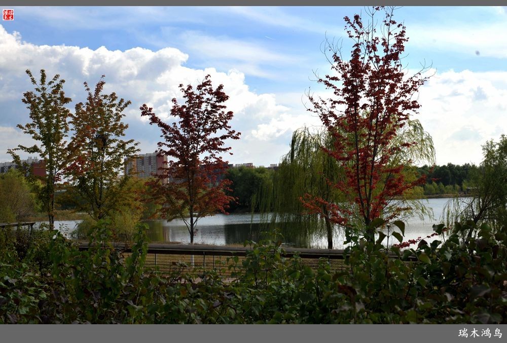 【追寻醉美秋色】64.傍水临风景色美，天光云影共徘徊