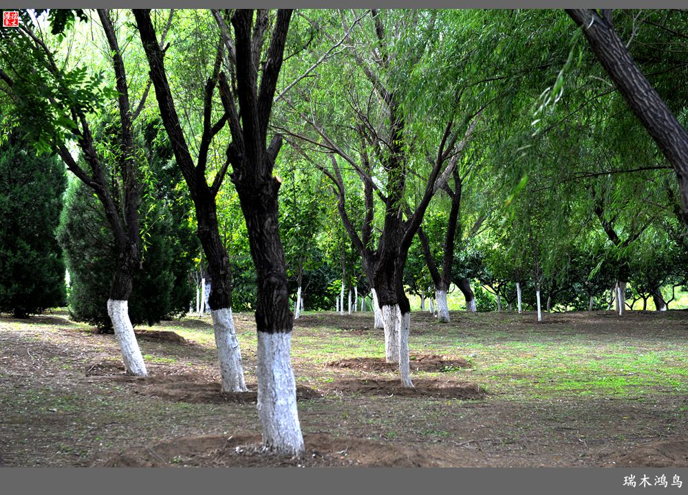 【追寻醉美秋色】64.傍水临风景色美，天光云影共徘徊