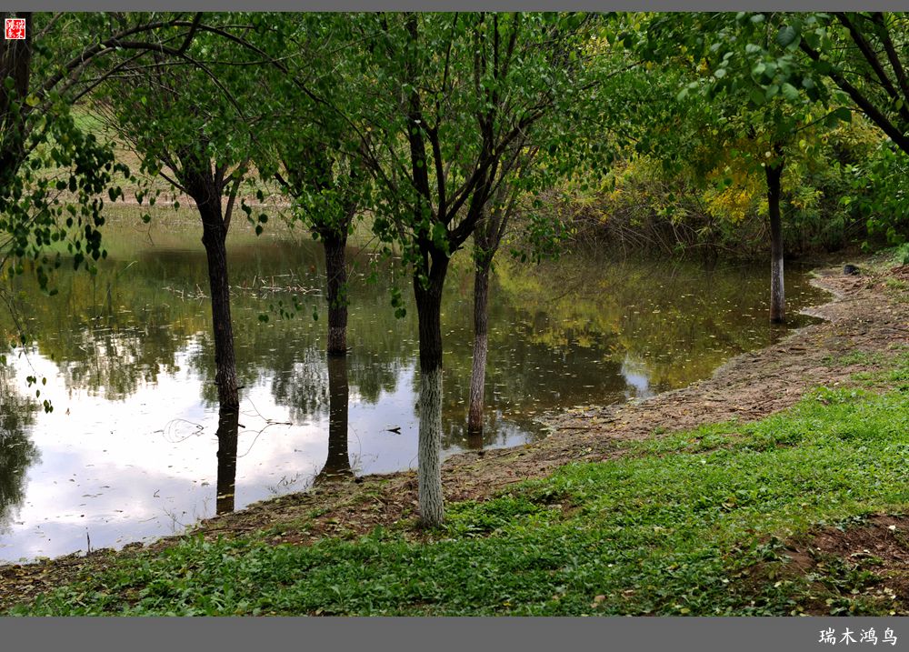【追寻醉美秋色】64.傍水临风景色美，天光云影共徘徊