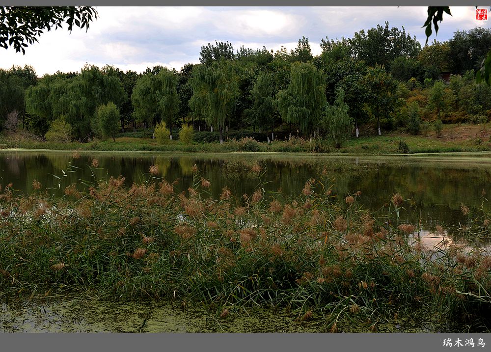 【追寻醉美秋色】64.傍水临风景色美，天光云影共徘徊