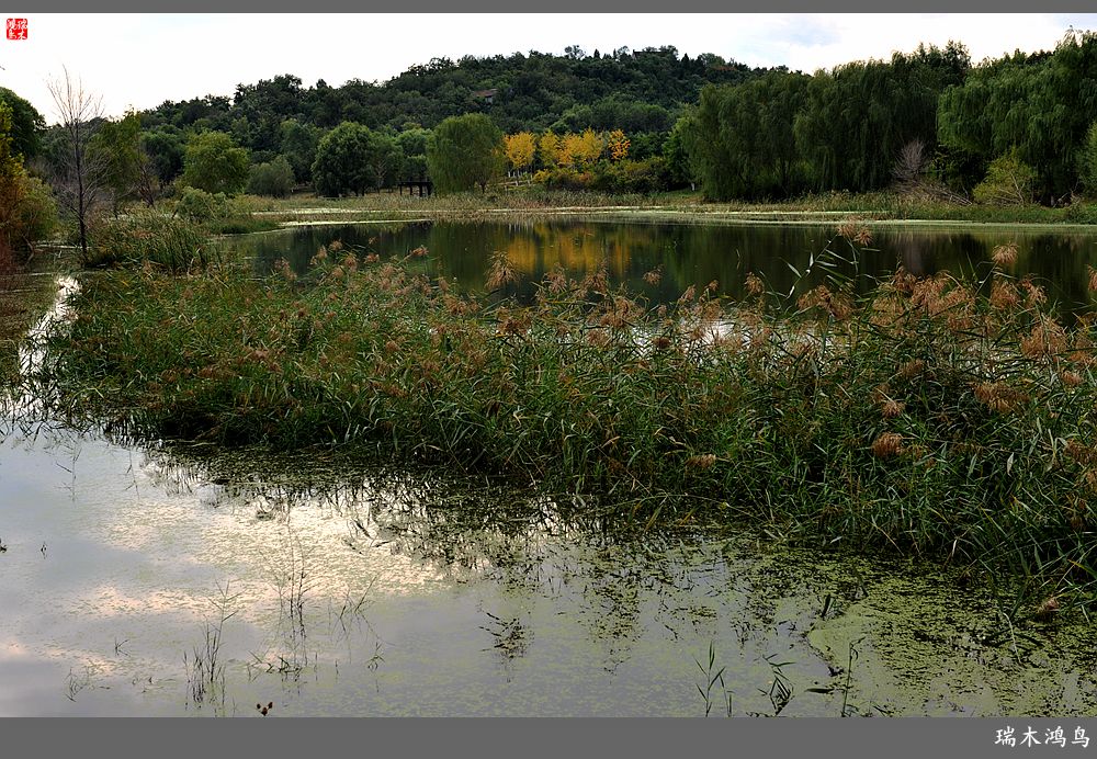 【追寻醉美秋色】64.傍水临风景色美，天光云影共徘徊