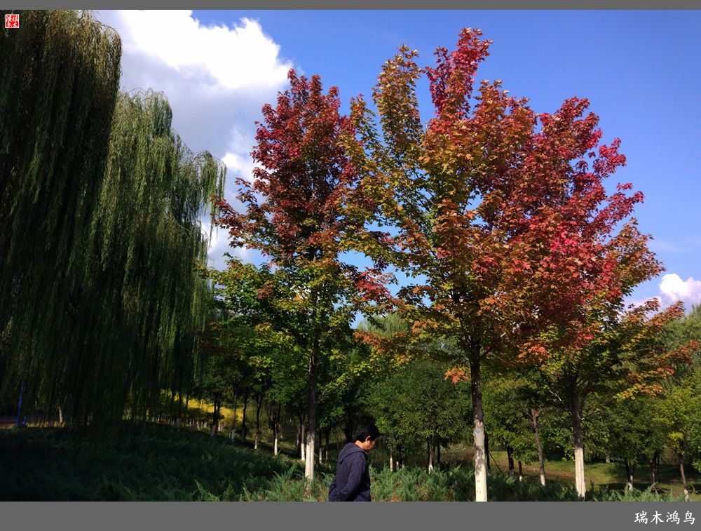 【追寻醉美秋色】64.傍水临风景色美，天光云影共徘徊