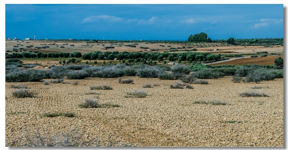 北非行之--在路上（摩洛哥）