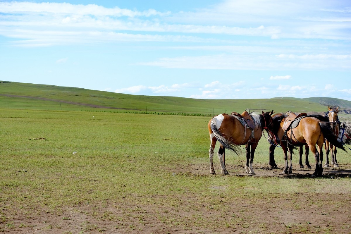 呼伦贝尔草原行（二）