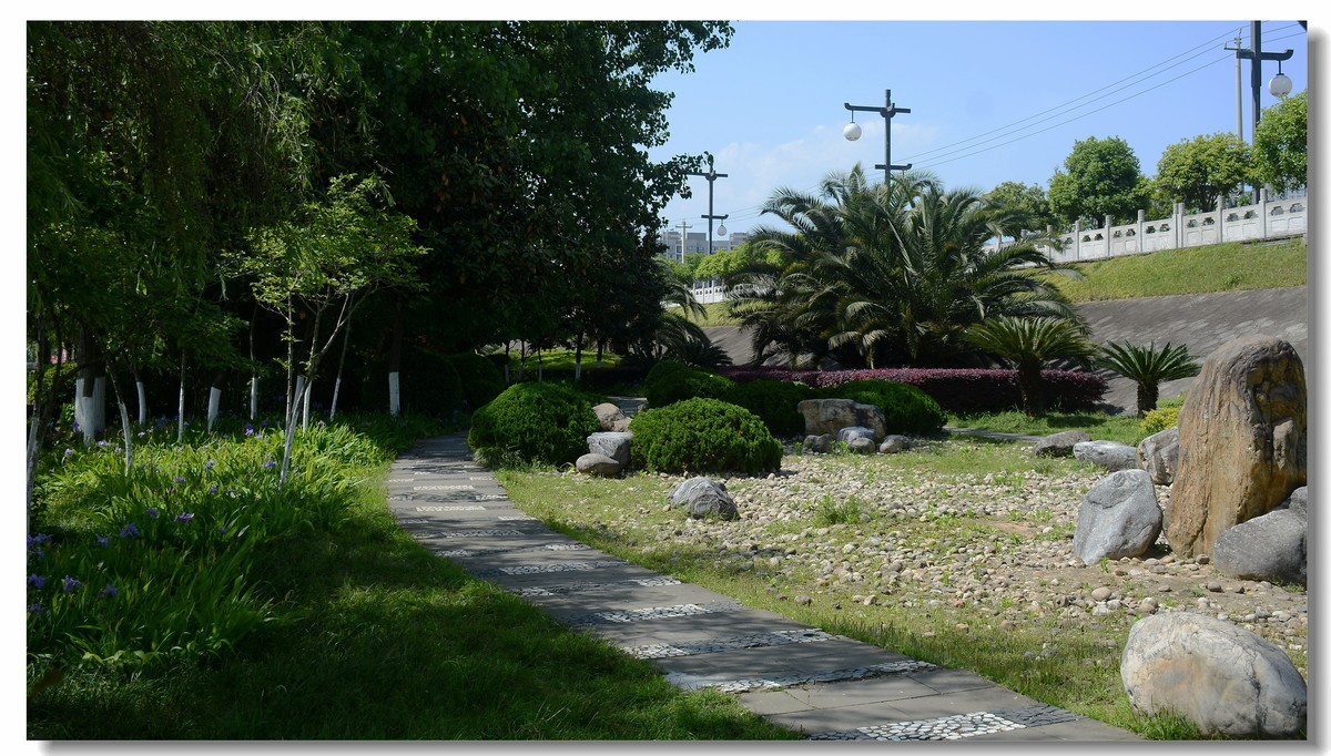 公园小径(2021178)