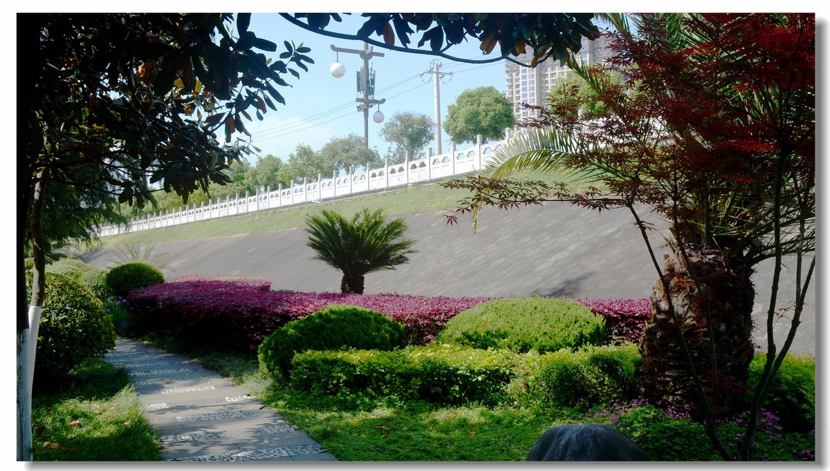 公园小径(2021178)