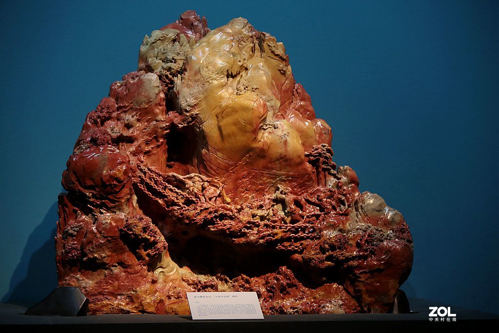 看展览长见识练本事