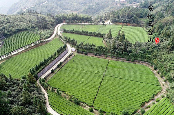 完美春游--独自一人游云台山风景区