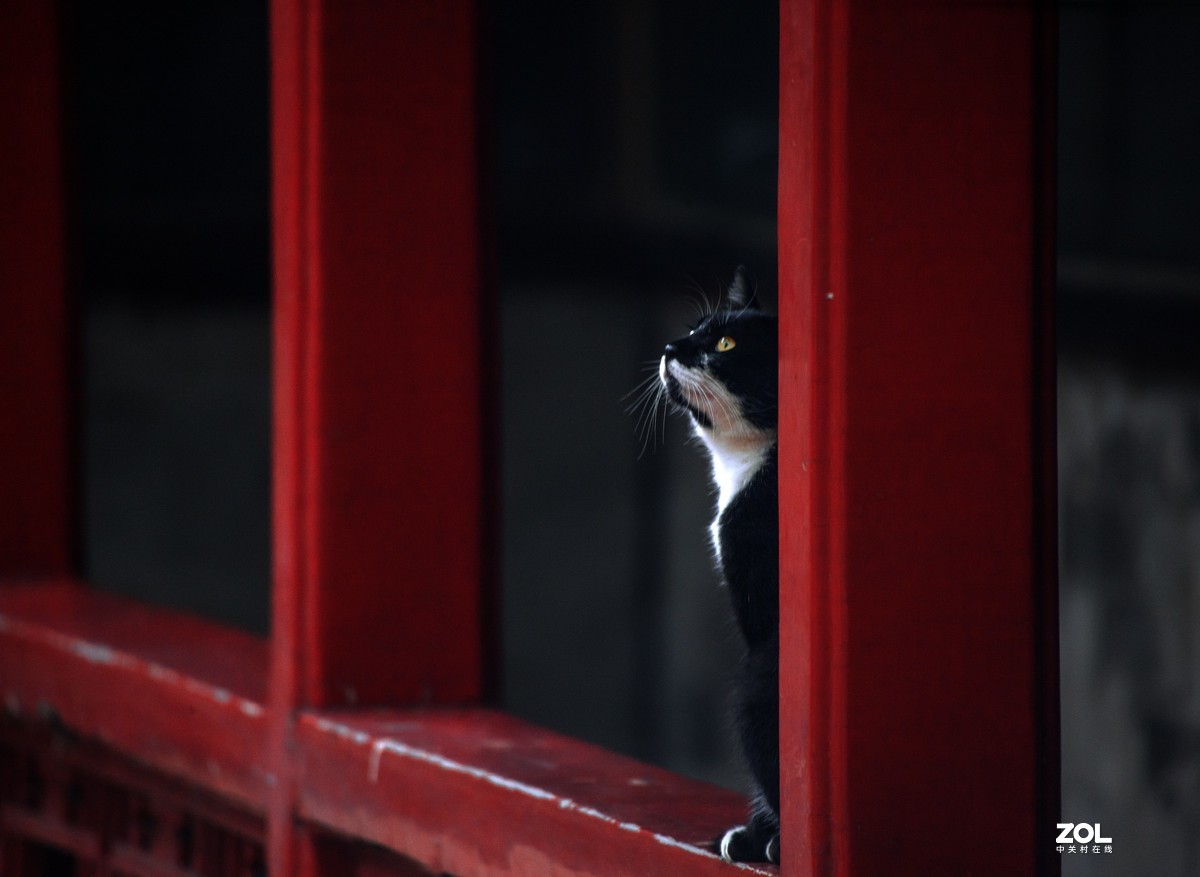 【故宫的记忆】艺术不是把原型如此精致；而是改变从新组合【创意的构成】