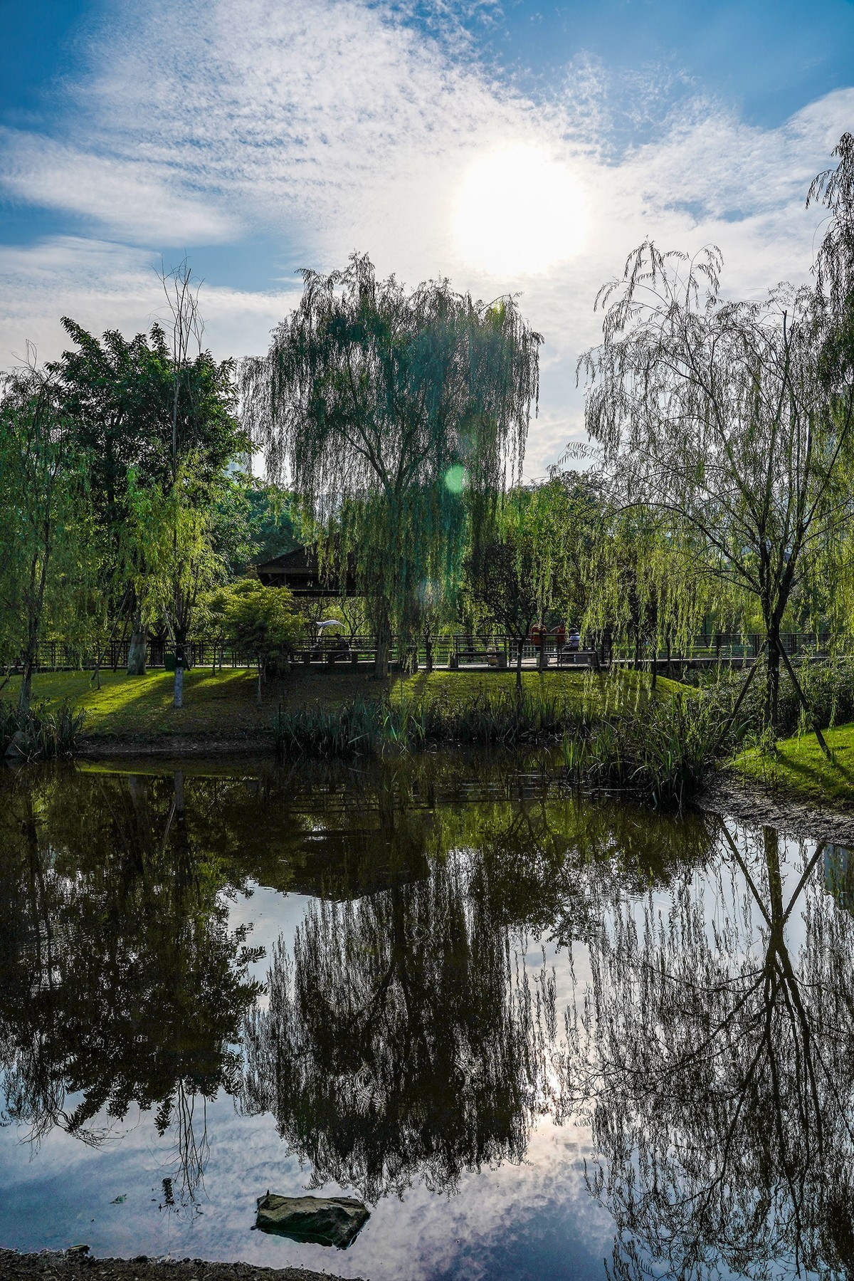 溼地公園-中關村在線攝影論壇