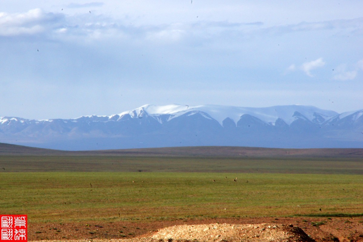 行摄青藏线－－－可可西里（4）
