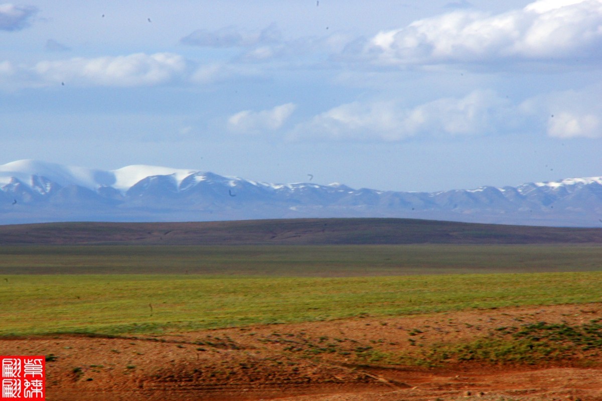 行摄青藏线－－－可可西里（4）